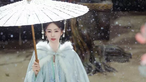 大张伟荷兰砸车盗窃